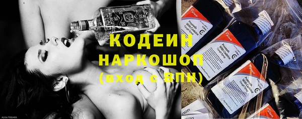 соль ск Арсеньев
