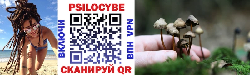 Псилоцибиновые грибы прущие грибы  Купить где  Себеж 